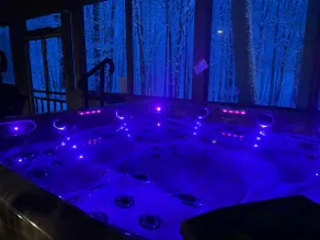 Woodshores Retreat - cozy retreat, hot tub, Lk MI - Image 5