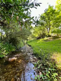 Creekside in the heart of Bright - Dusk - Image 5