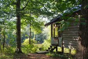 Private Lake Farm Cabin, Pets Welcome - Image 4