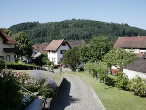 120m² am Wald, Pool, Europa Park Rust 20km - Image 2