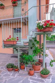 La Casa Di Lillo - Angera - Image 4
