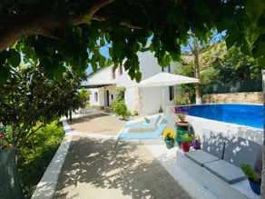 The Green Home - Image 3