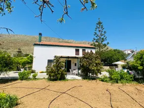 The Green Home - Image 2