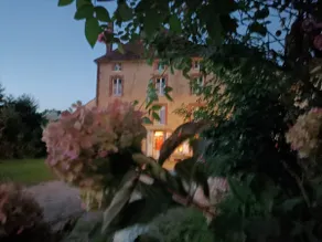 A Burgundian mill with pool, 1.5 hours from Paris - Image 3