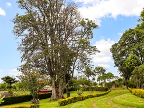 Enkorika Eco-Village- Serenity, Bliss, Home. - Image 5