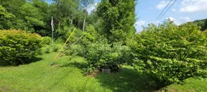 Perry Winkler's Home Art Studio - Image 4