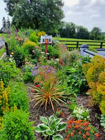 Typical Irish Farm House - on 20 acre farm - Image 3