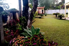 Caquende Site - Estrada Real - Carrancas - Tiradentes - Image 5