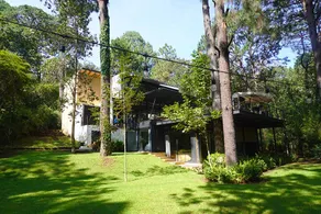 The Tree House, Avándaro - Image 4