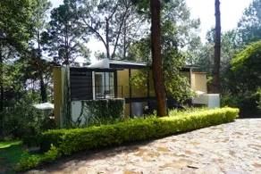 The Tree House, Avándaro - Image 3