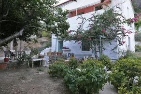 Apatouria Farmhouse - Image 2