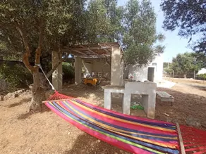 \"Turnitu\" house with large garden - Image 3
