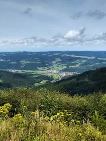 de Vinkenborg nabij Winterberg - Image 3