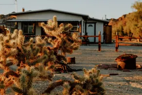 Canasta de Estrellas - Drift under the Mojave stars - Image 2