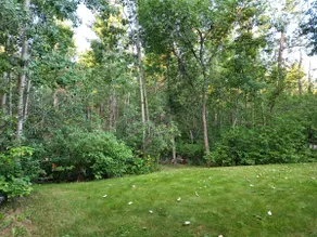Beautiful House on Naturally Treed 3 acres lot - Image 2