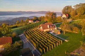 Vineyard cottage Hočevar - Image 2
