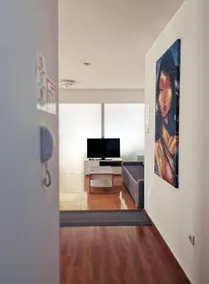 Lux Studio Apartment Vidanovic - Image 3