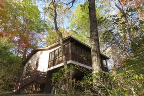 Owls Nest Cabin NC - quiet location close to much - Image 4