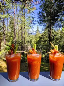 Breckenridge Chalet near Yosemite. Dog friendly! - Image 3