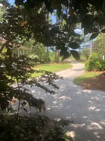 KING, 4 beds, 5 minutes to I-26 - Image 5