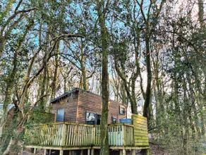 Shrew Lodge-woodland Lodges-Hot Tub-Pembrokeshire-Tenby - Image 2