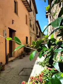 Casa Ornella - Image 2