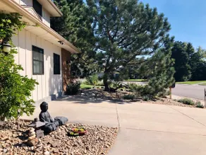 Sophia's Guest Home - Image 5