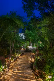 Retreat in a jungle paradise, 2BR/2BA - Image 4