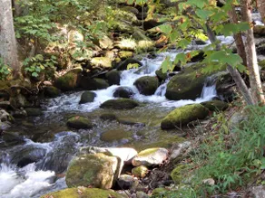 Creek Front Cabin Near Downtown Gatlinburg - Image 4
