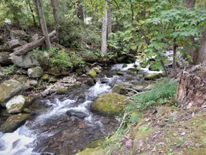 Creek Front Cabin Near Downtown Gatlinburg - Image 3