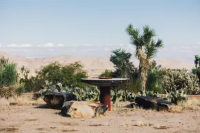 Joshua Tree House - 5 Miles from National Park - Image 2