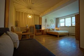 Apartment for 2-3 people (Pension Carlbauer) - Image 4