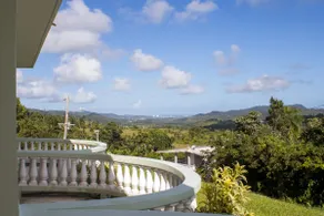 Rainforest gem with ocean views - Image 4