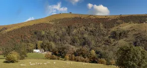 Coach House, Swainsley Farm, Peak D. National Park - Image 2