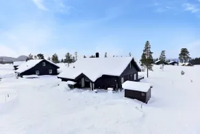 Cabin for families, business travelers, sports. - Image 4