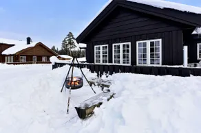 Cabin for families, business travelers, sports. - Image 5