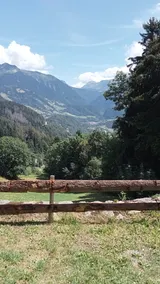Les Saisies / HIGH STANDING hytte 16 personer med SPA Hammam og Mont Blanc udsigt - Image 2