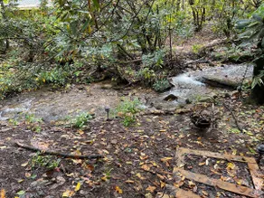 Cozy Creekside Serenity! Easy access! - Image 2