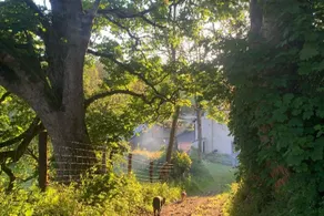 Cosy cottage on Offa's Dyke path - Image 5