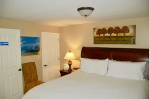 Denver Couples Retreat 2BR, 2 BA Hot Tub Privacy - Image 3