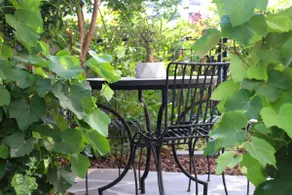 Zohara boutique suite - Image 3