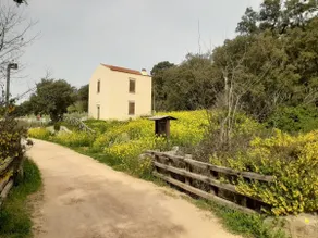 ”Le Grazie” Holiday home with pool - Image 3