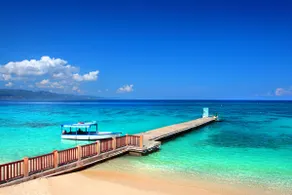 Your Little Mobay! 🌟 w/ Pool! - Image 3