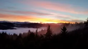 Redwood Valley Rustic Retreat - Image 2