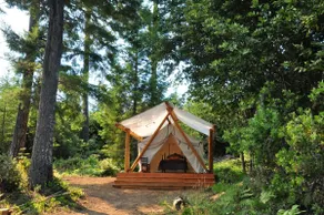 Redwood Valley Rustic Retreat - Image 4