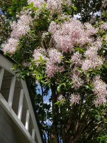 Central modern cottage - Image 5