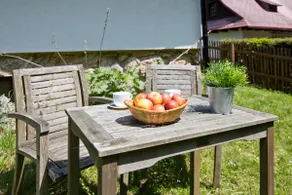 Svratouch Cottage - Karlštejn in the Vysocina region - Image 3