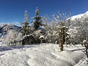 Chalet Le Rêve, next Gstaad, luxury, peace, nature - Image 4