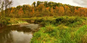 Cabin on Trout Stream & 24 Acres Near Decorah! - Image 5