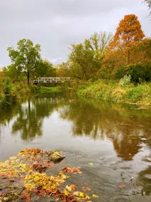 Cabin on Trout Stream & 24 Acres Near Decorah! - Image 4